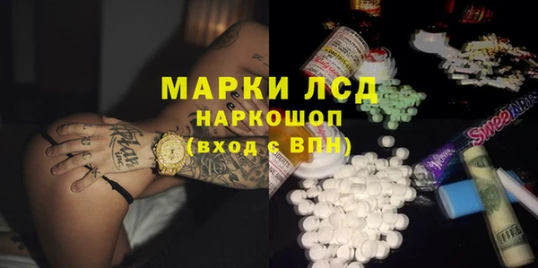 ГАЛЛЮЦИНОГЕННЫЕ ГРИБЫ Арсеньев