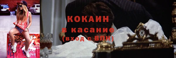 гидра Аркадак