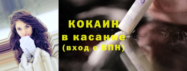 ГАЛЛЮЦИНОГЕННЫЕ ГРИБЫ Арсеньев