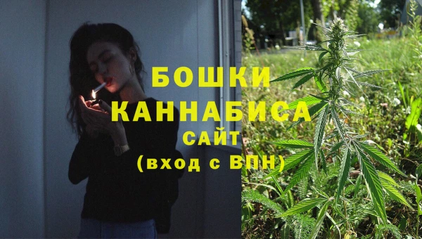 гидра Аркадак