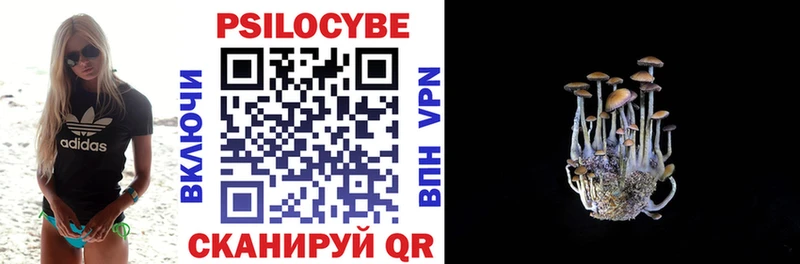 Галлюциногенные грибы Psilocybe  Нефтекумск 